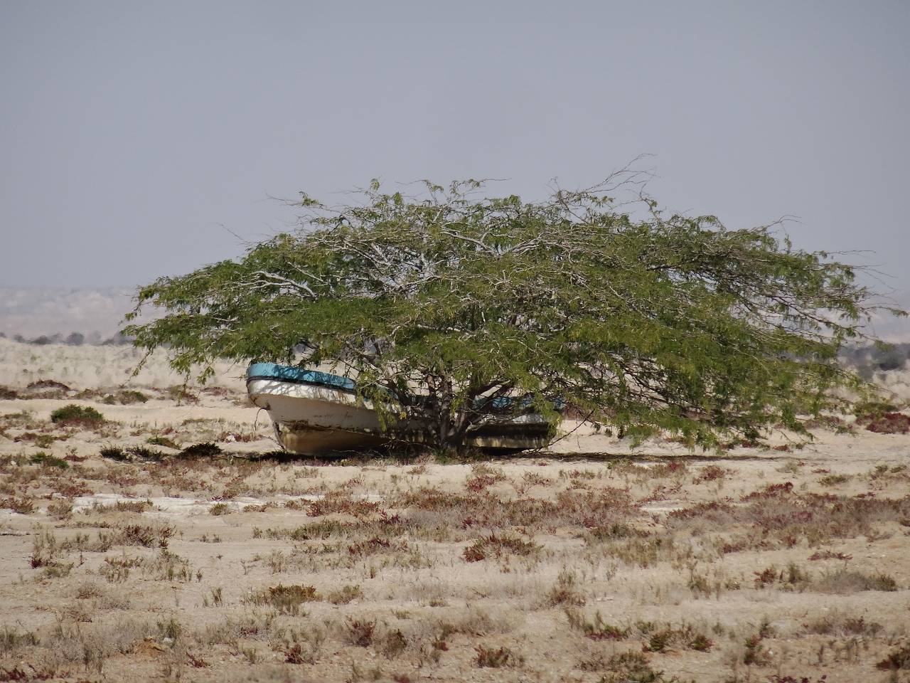 DSC07259_%281280_x_1024%29