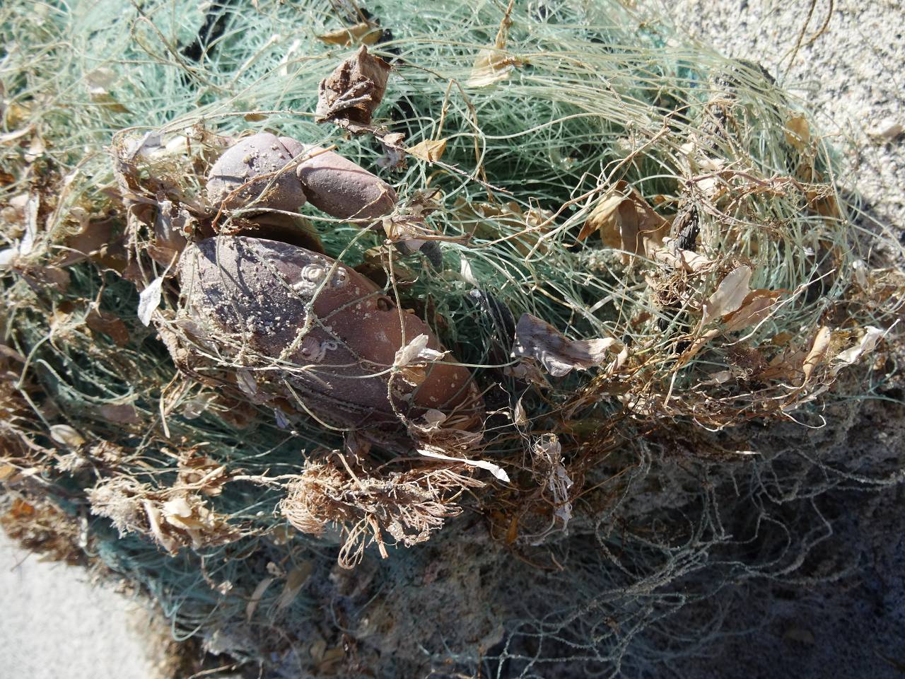 DSC07522_%281280_x_1024%29