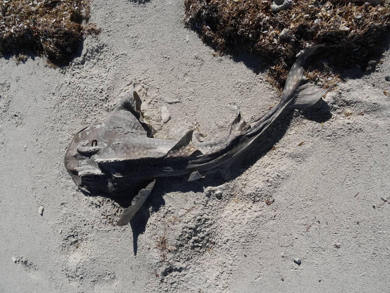 DSC07543_%281280_x_1024%29