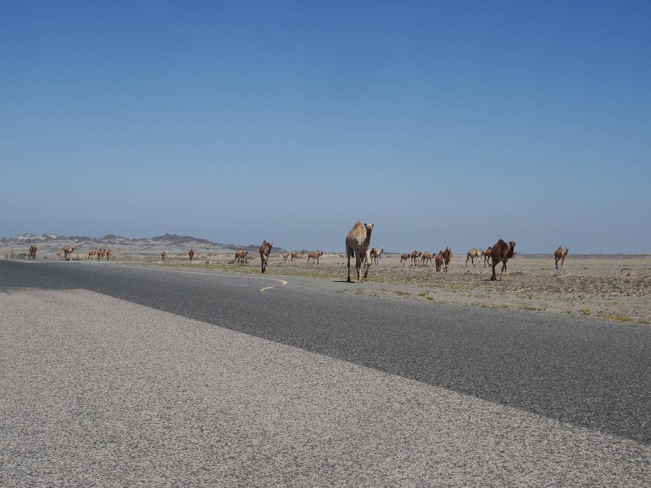 DSC07597_%281280_x_1024%29