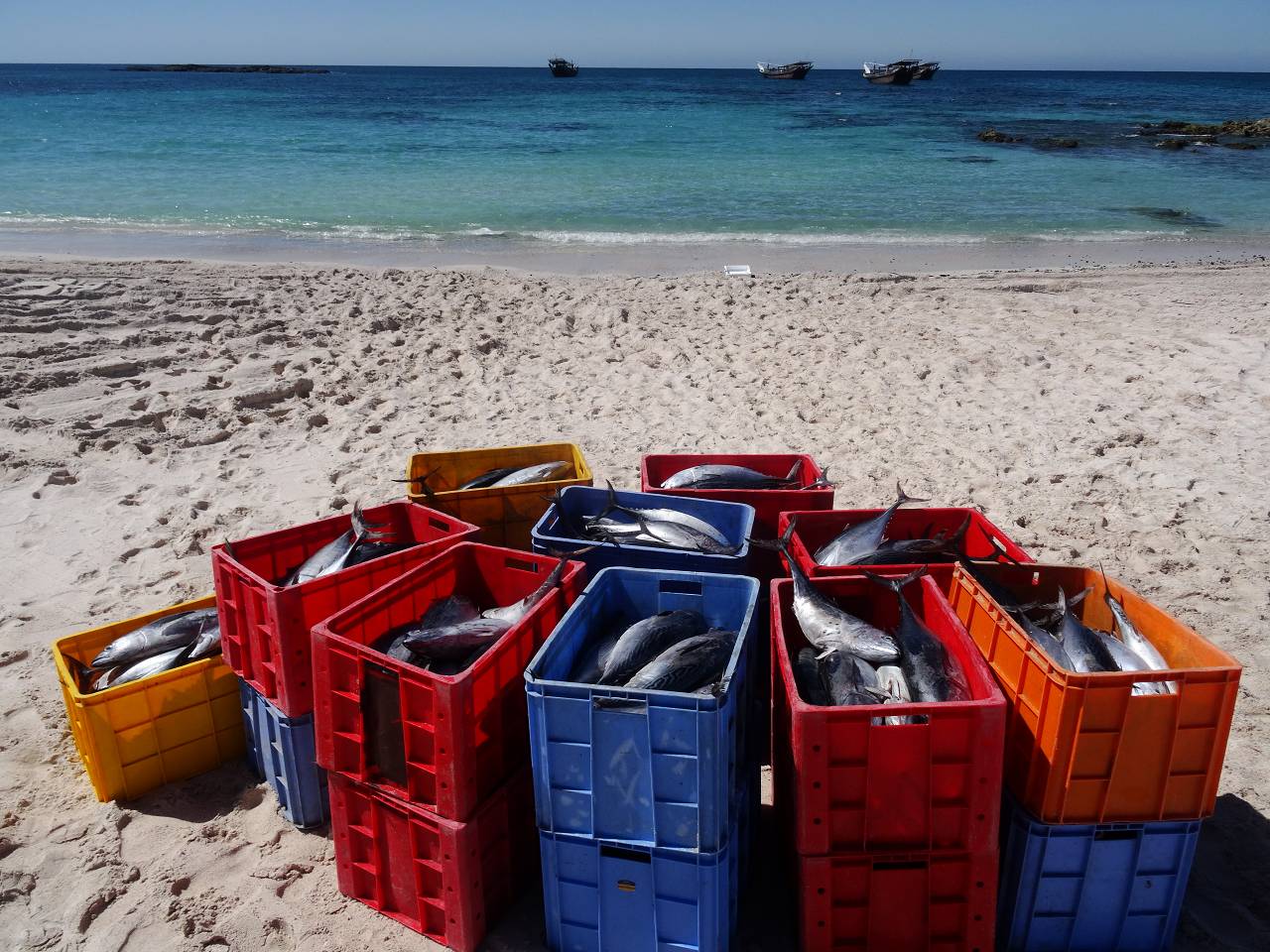 DSC07627_%281280_x_1024%29