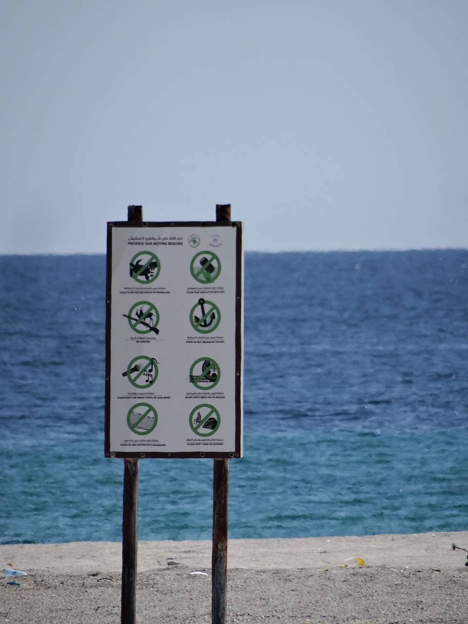 DSC07649_%281280_x_1024%29