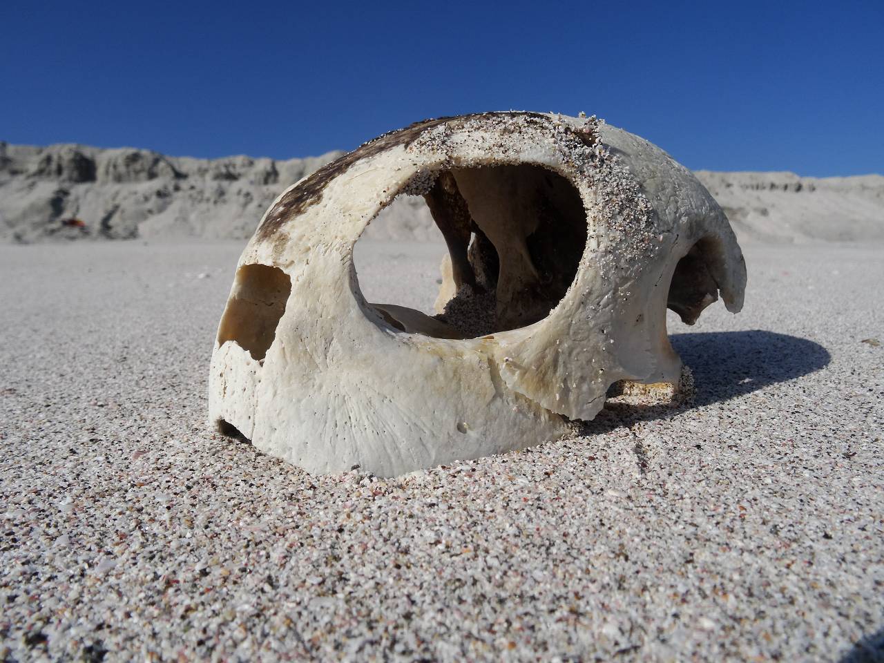 DSC07677_%281280_x_1024%29