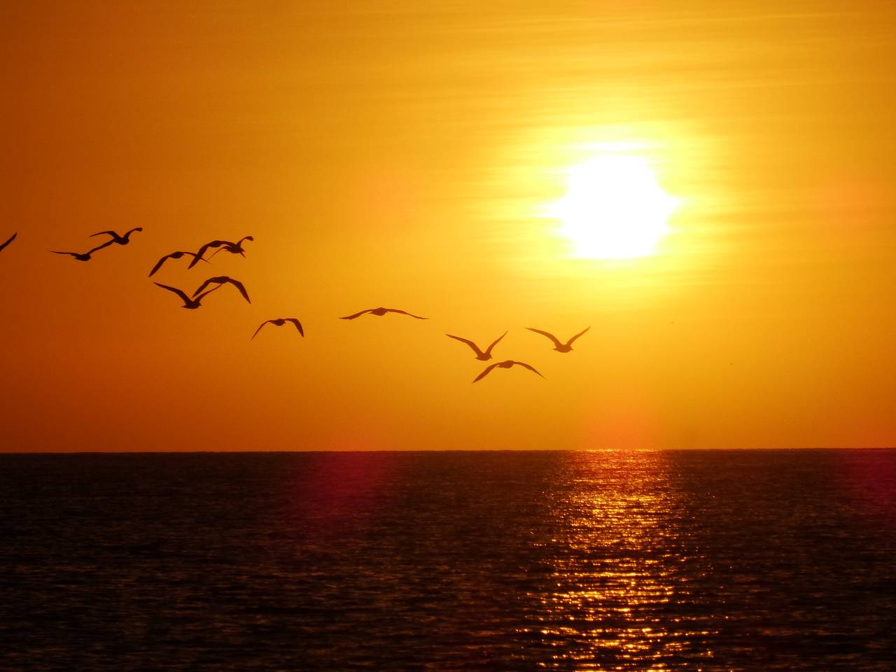 DSC07692_%281280_x_1024%29