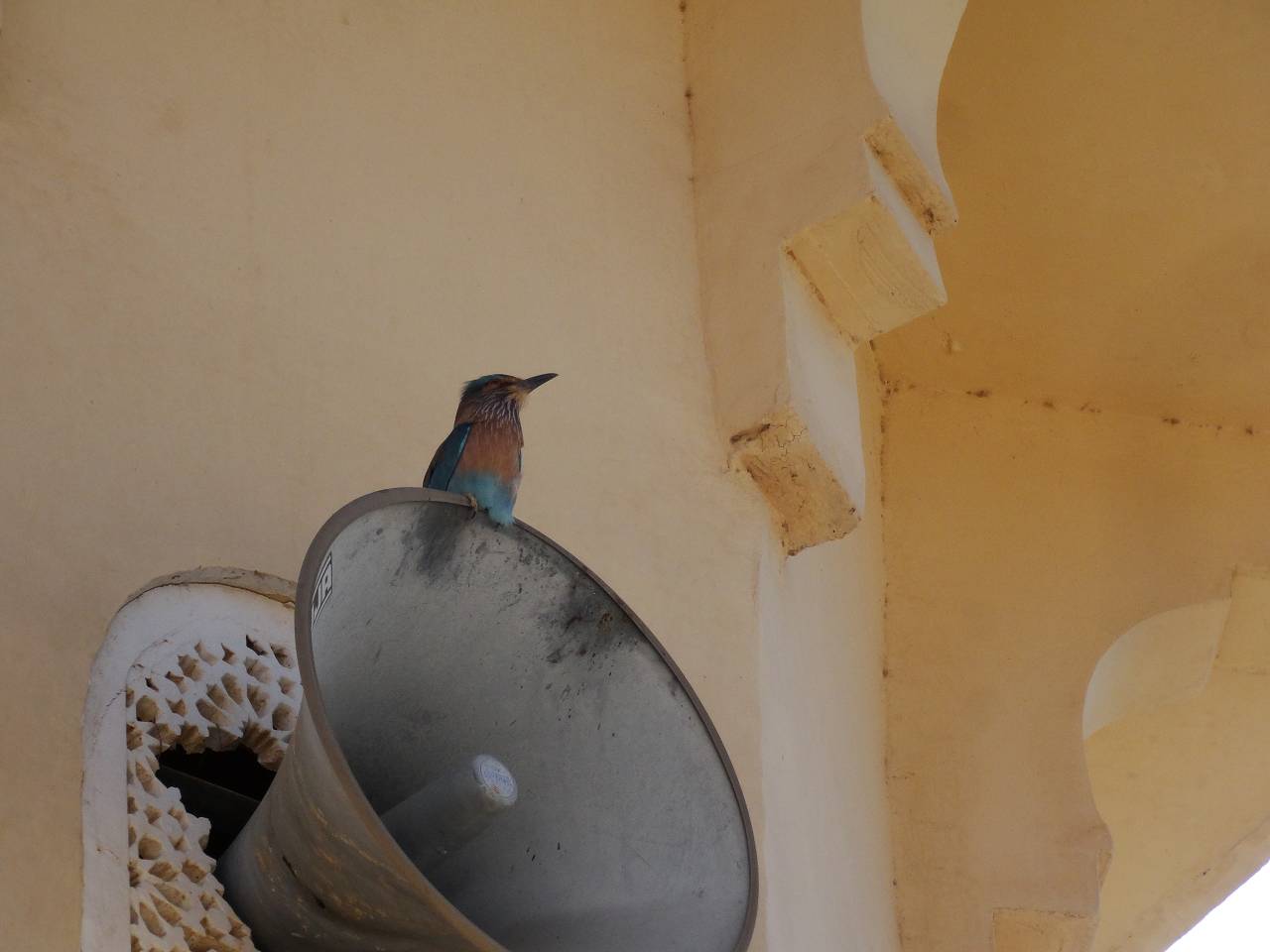 DSC08351_%281280_x_1024%29