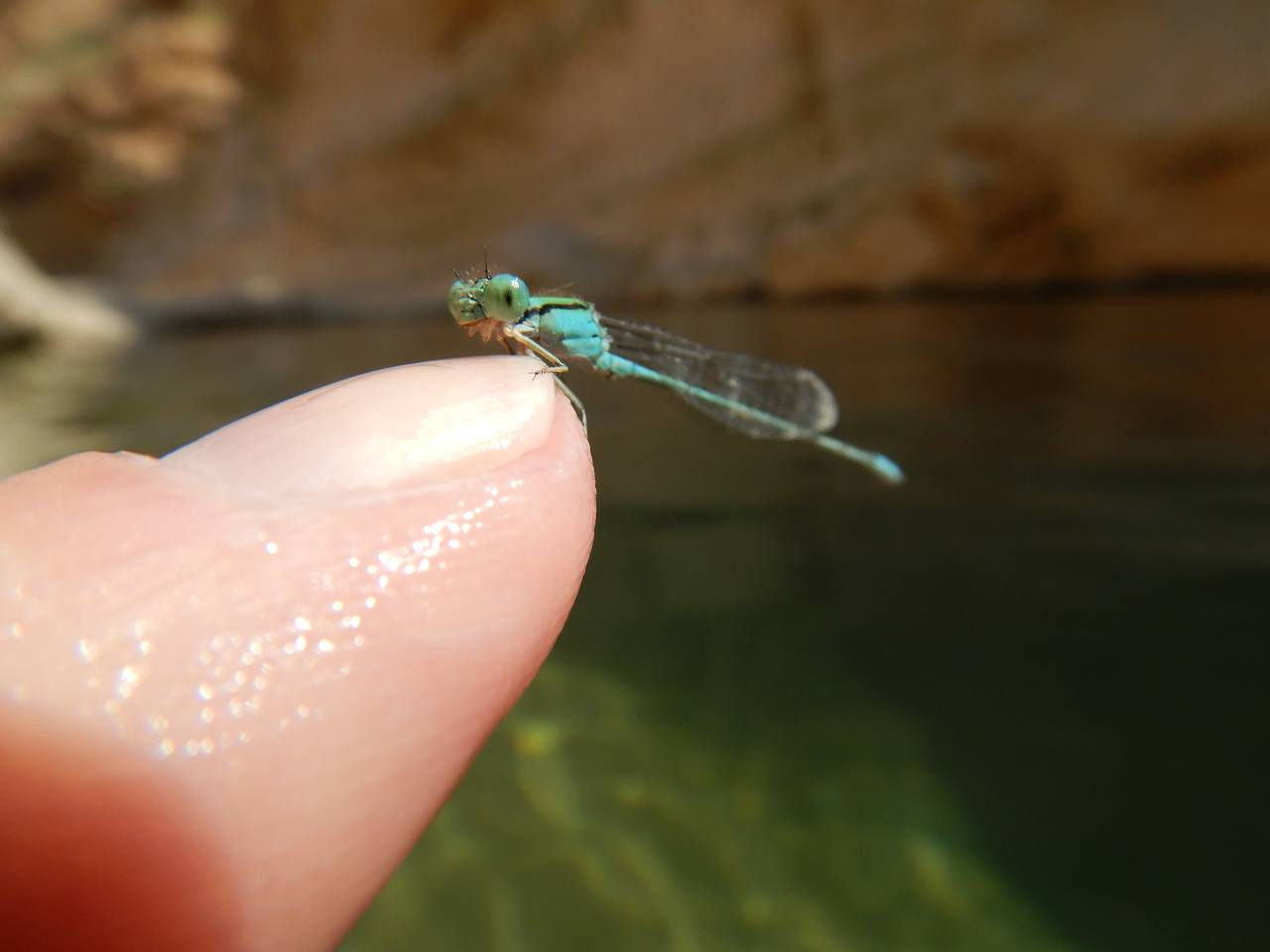 DSCN0326_%281280_x_1024%29