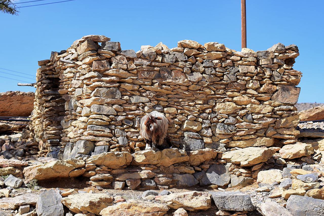 DSC_0902_%281280_x_1024%29