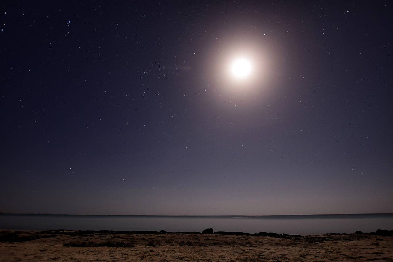 DSC_1261_%281280_x_1024%29