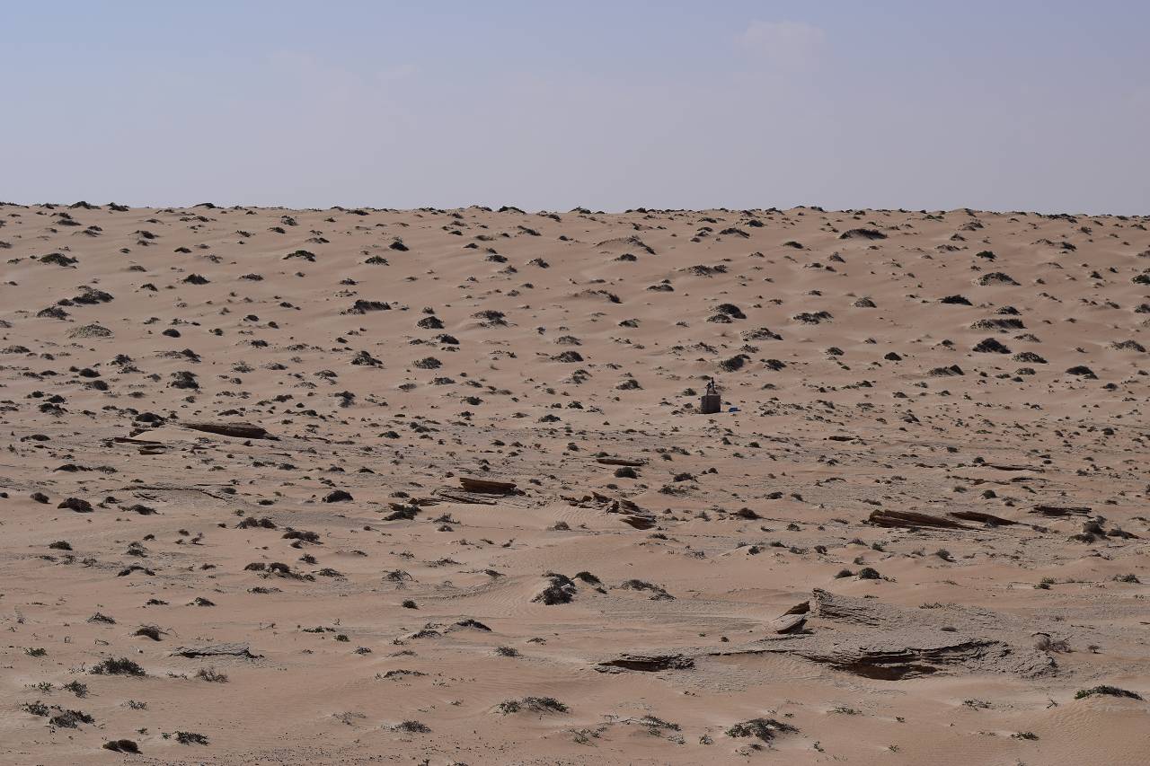 DSC_1281_%281280_x_1024%29