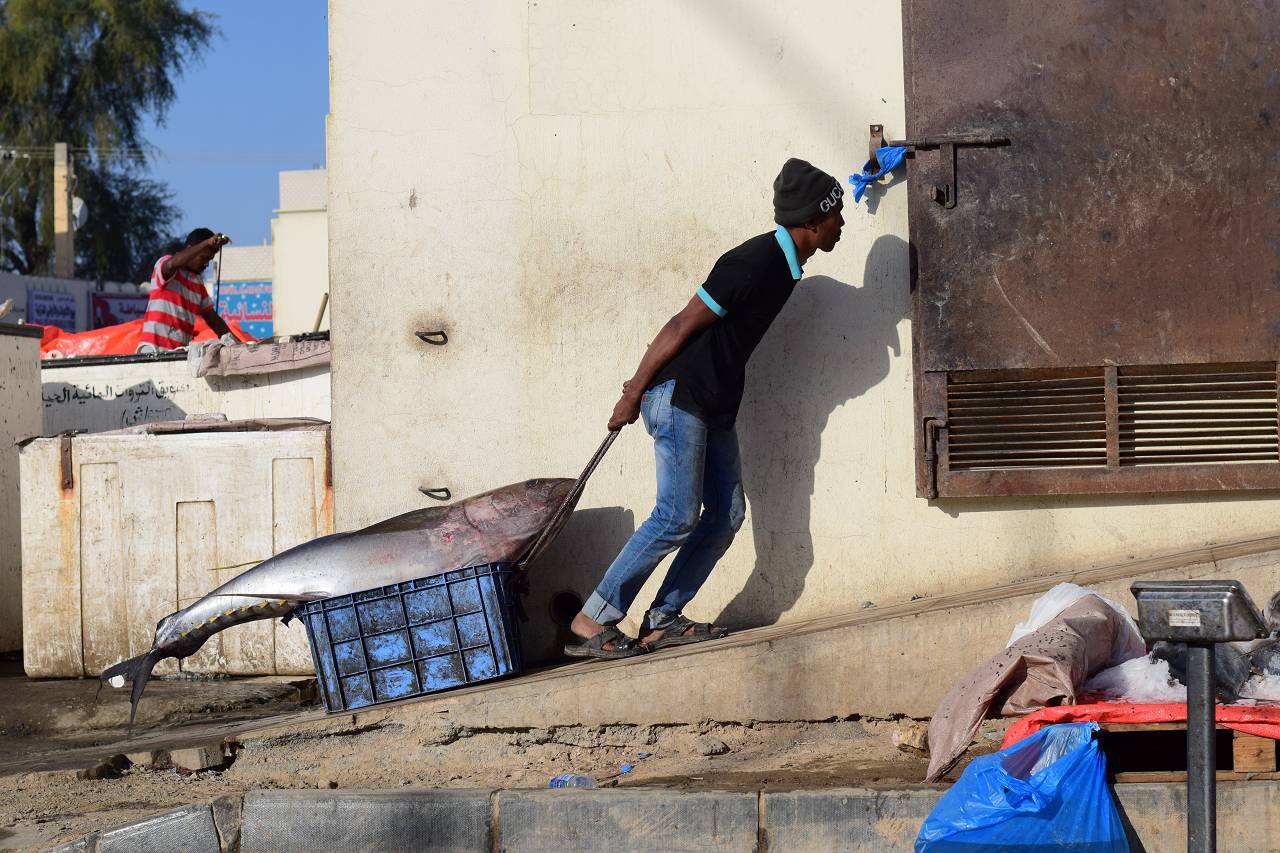 DSC_1321_%281280_x_1024%29