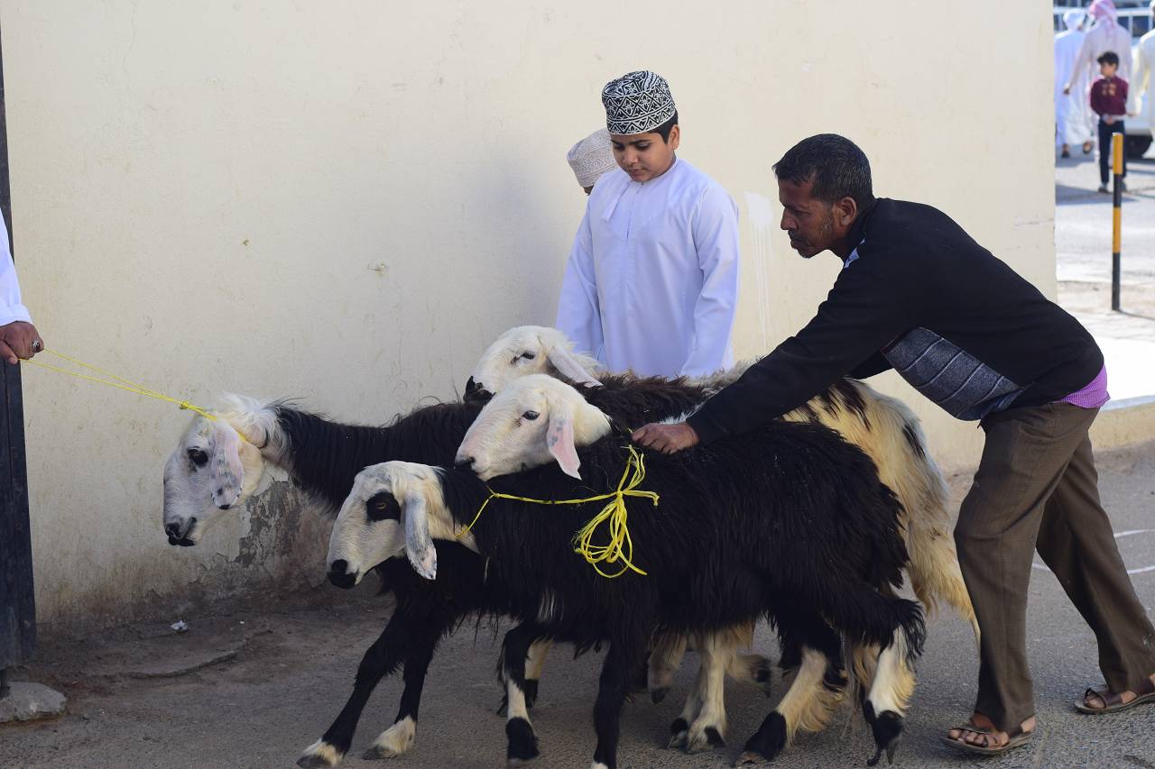 DSC_1352_%281280_x_1024%29