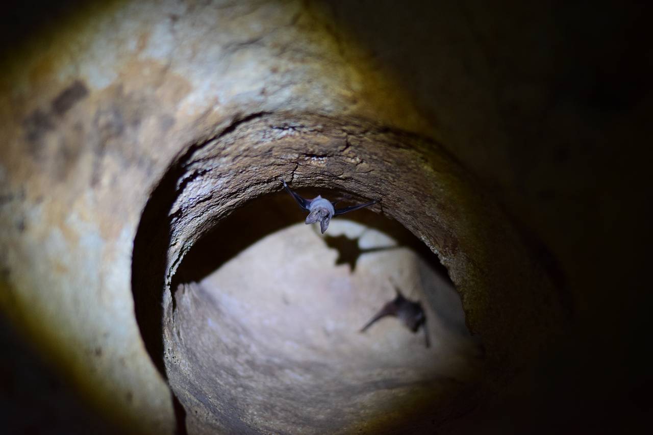 DSC_1600_%281280_x_1024%29