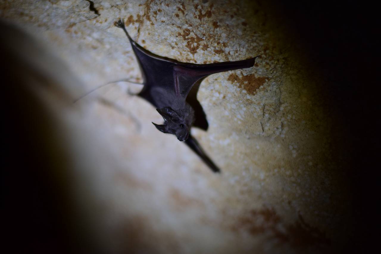 DSC_1608_%281280_x_1024%29