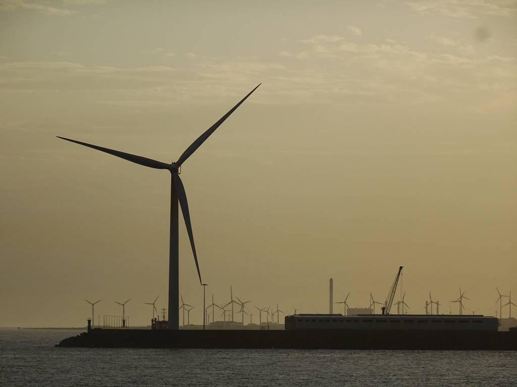 DSC00836_%281024_x_768%29