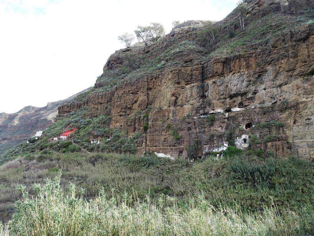 DSC00955_%281024_x_768%29