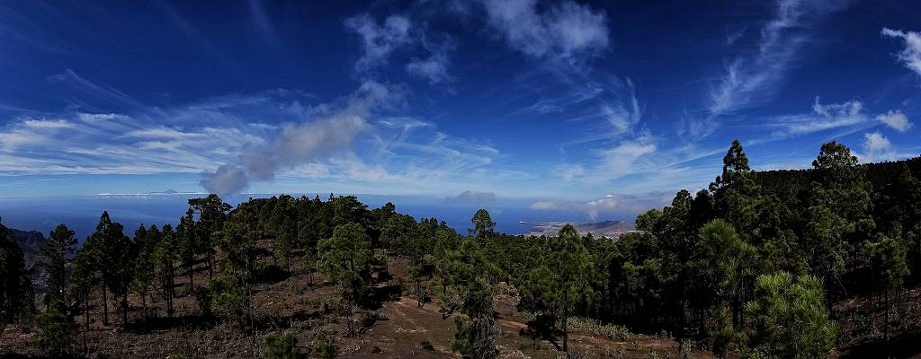 DSC01059_S_%281024_x_768%29