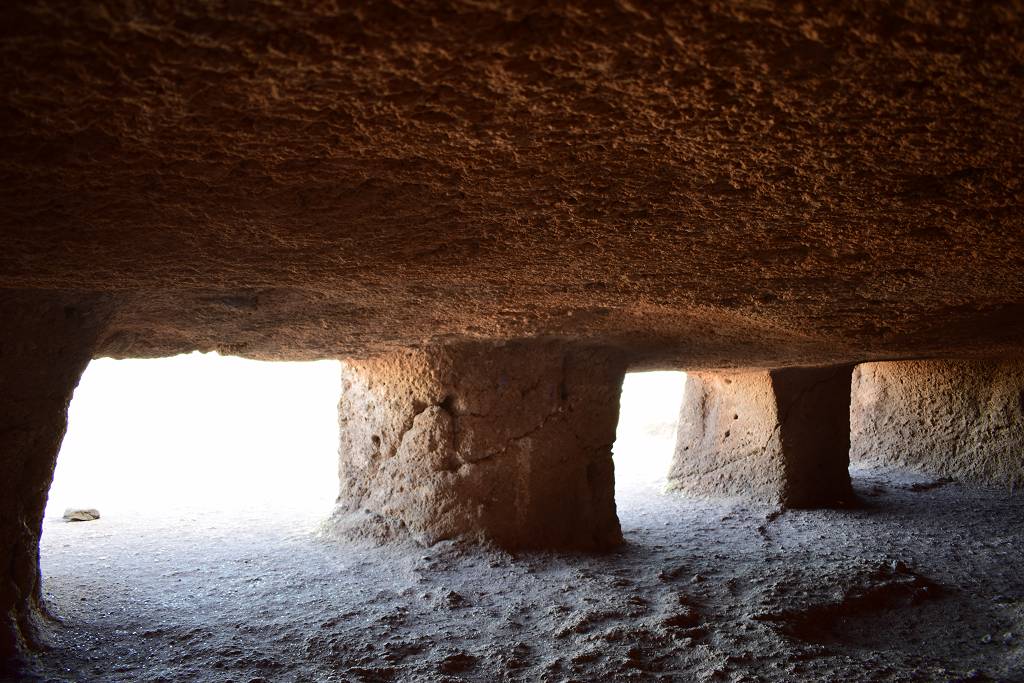 DSC_3174_%281024_x_768%29