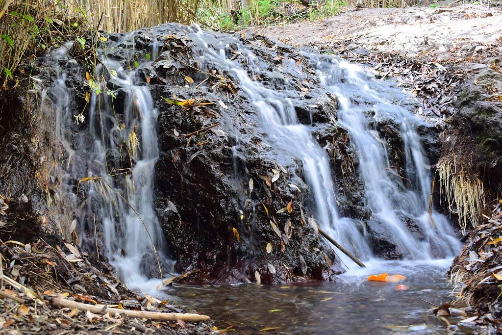 DSC_3232_%281024_x_768%29