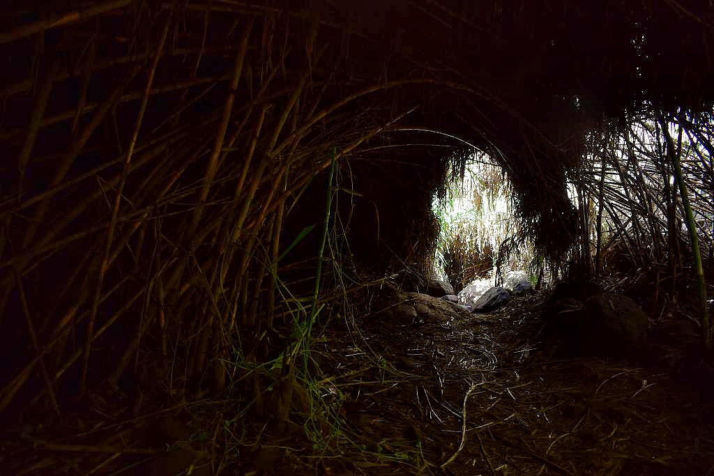 DSC_3257_%281024_x_768%29