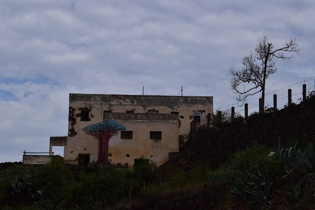 DSC_3298_%281024_x_768%29