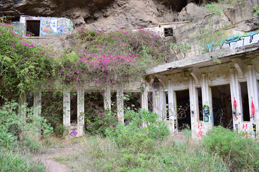 DSC_3337_%281024_x_768%29