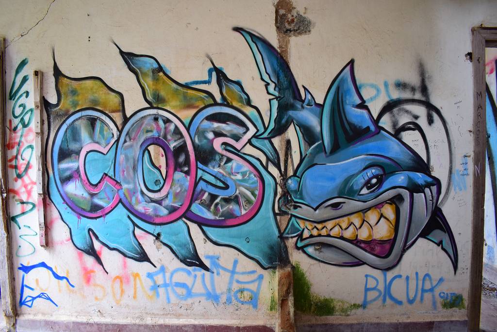 DSC_3353_%281024_x_768%29