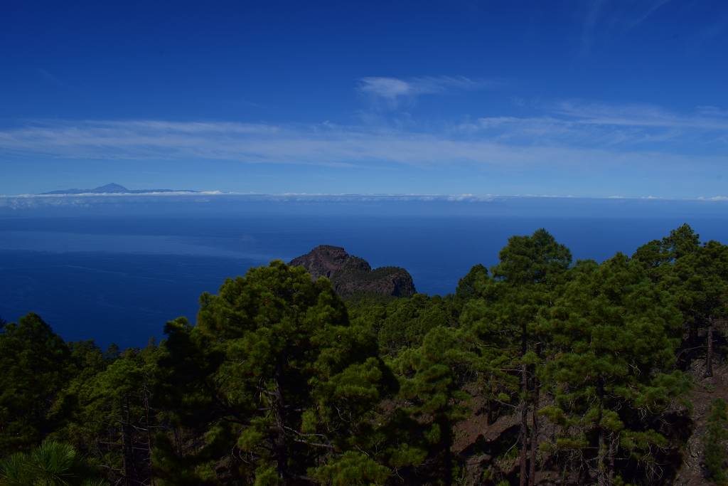 DSC_3453_%281024_x_768%29