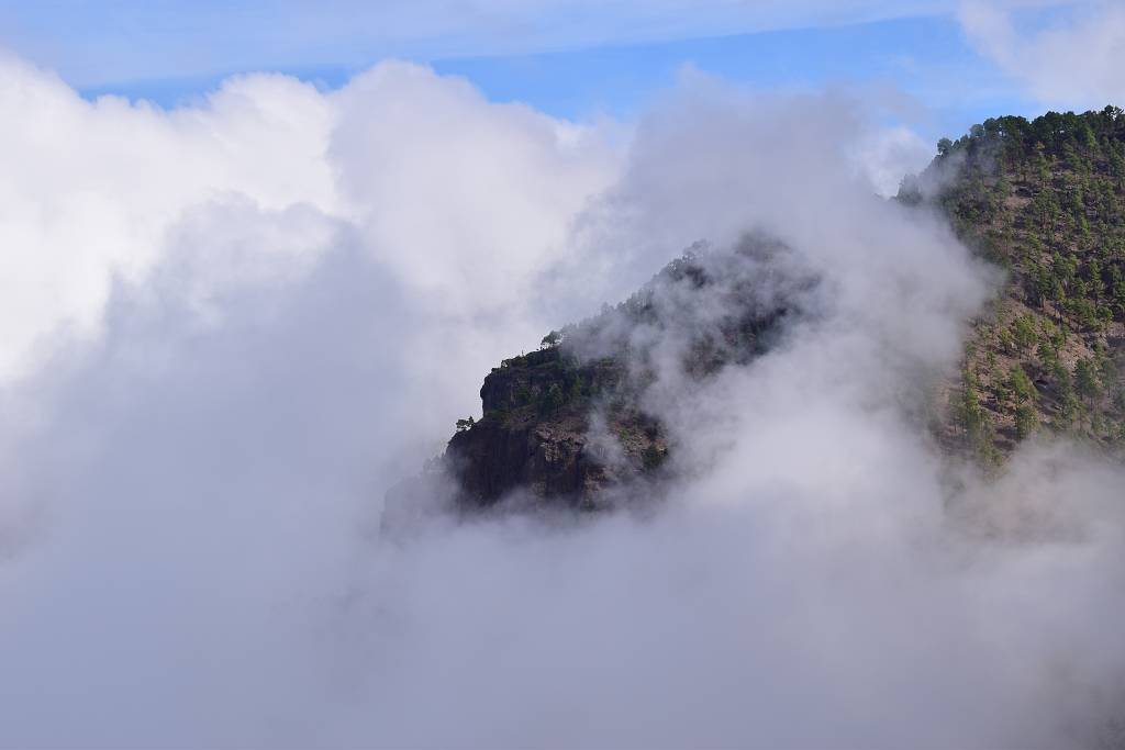 DSC_3498_%281024_x_768%29