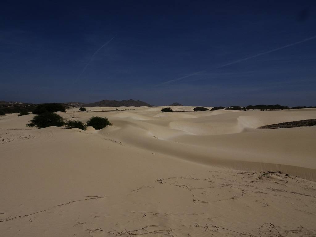 DSC09538_%281024_x_768%29