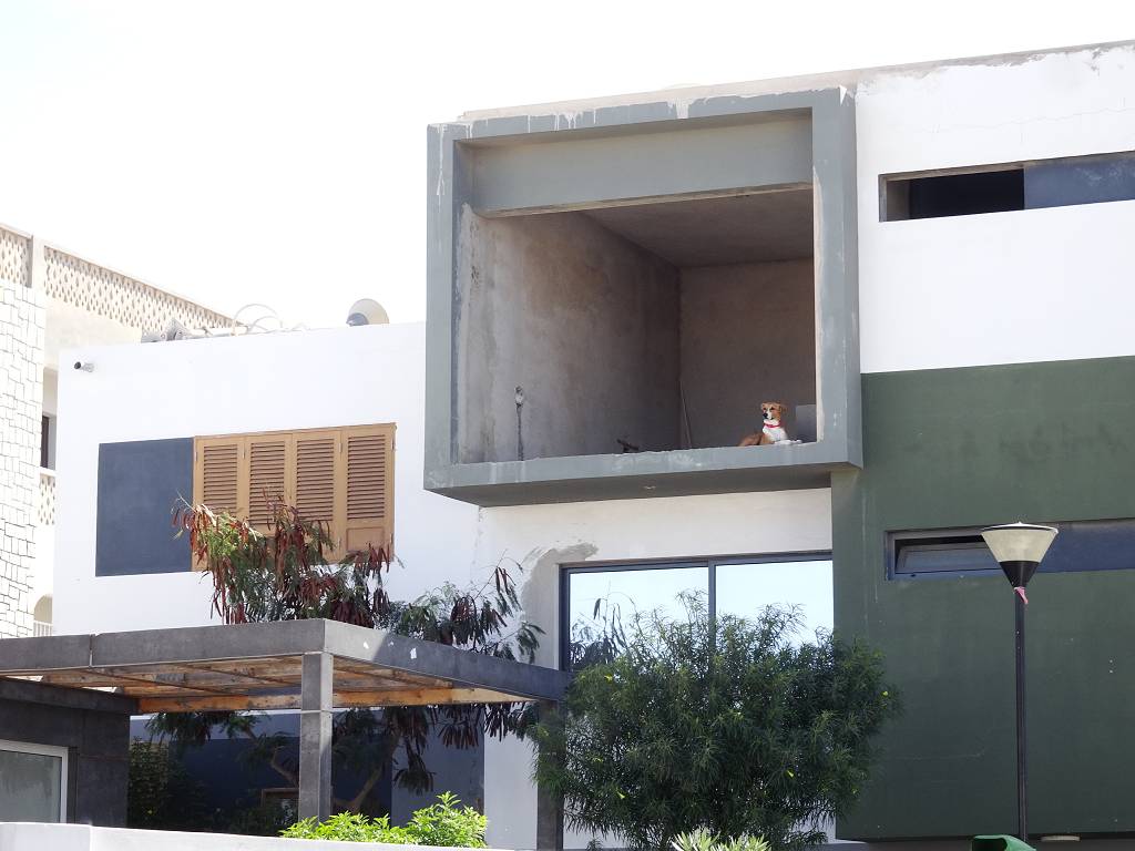 DSC09630_%281024_x_768%29