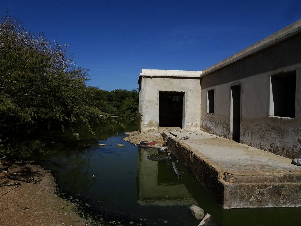 DSC09668_%281024_x_768%29