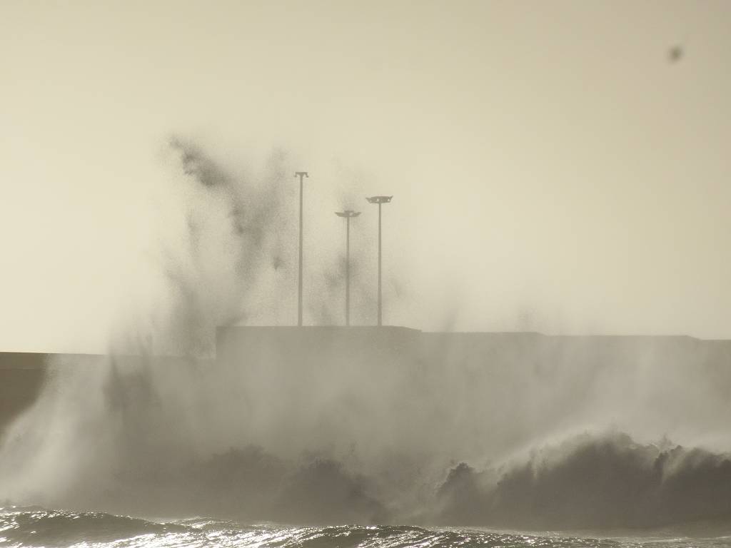 DSC09800_%281024_x_768%29